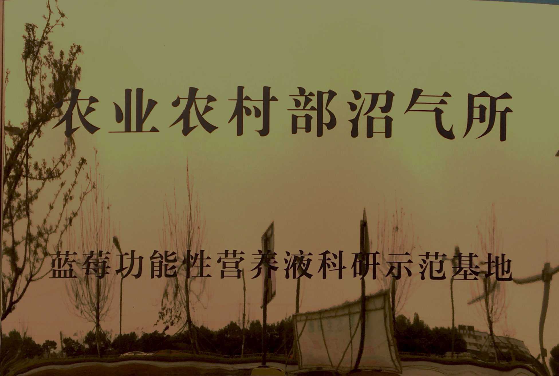 農(nóng)業(yè)農(nóng)村部沼氣所藍(lán)莓功能性營養(yǎng)液科研示范基地